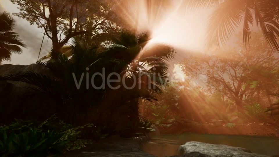 Sunset Beams Through Palm Trees - Download Videohive 21041369