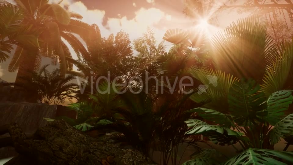 Sunset Beams Through Palm Trees - Download Videohive 21041369