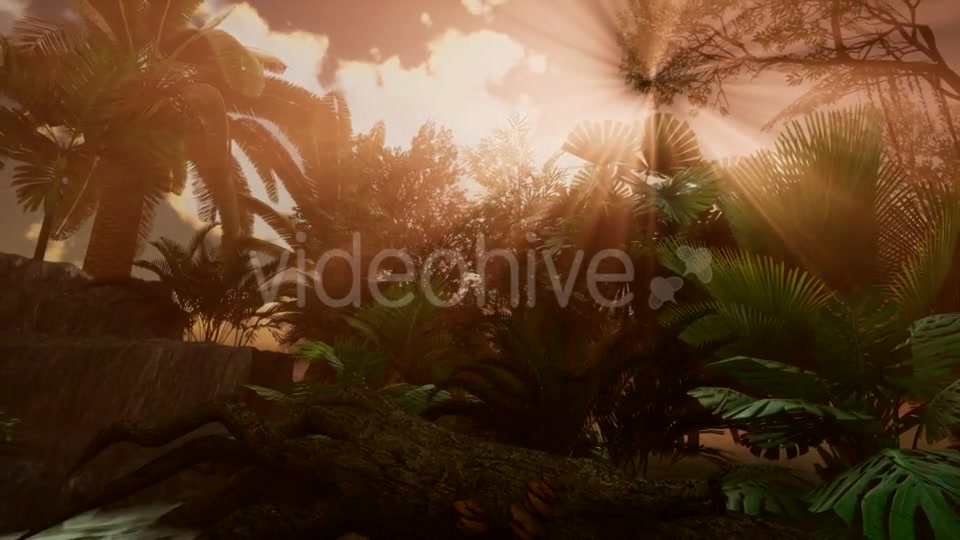 Sunset Beams Through Palm Trees - Download Videohive 21041369