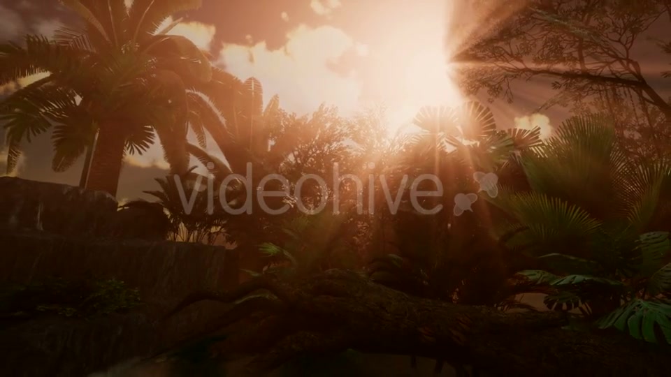 Sunset Beams Through Palm Trees - Download Videohive 21041369