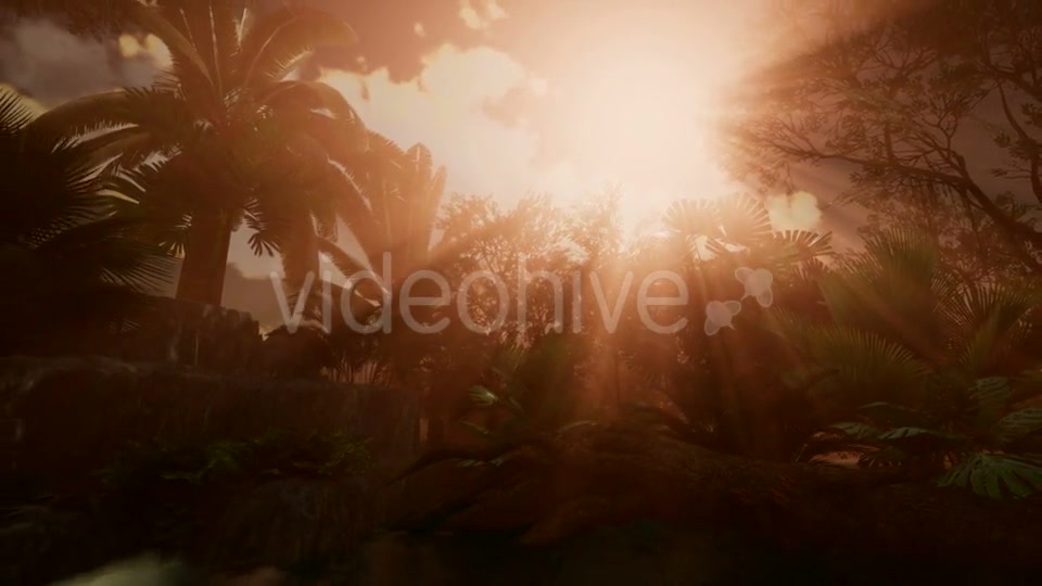 Sunset Beams Through Palm Trees - Download Videohive 21041369