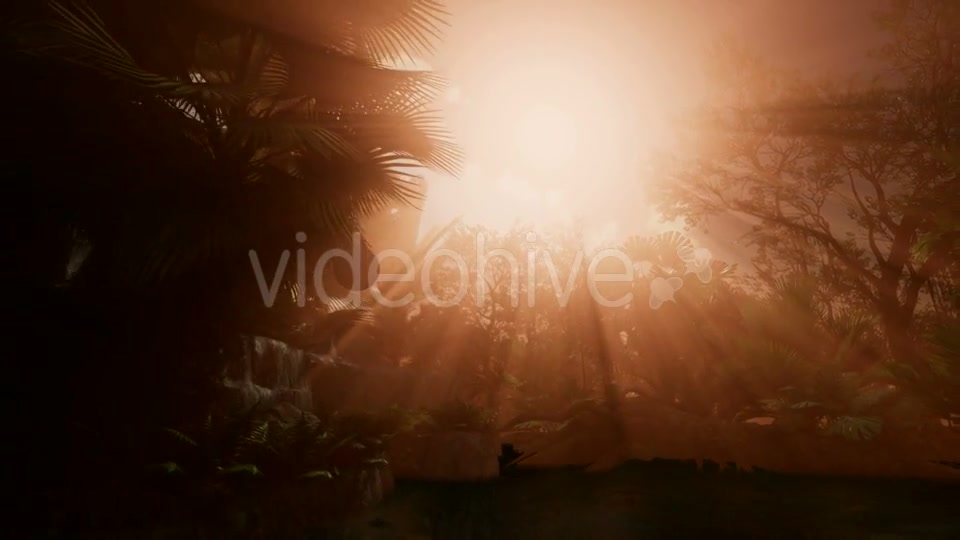 Sunset Beams Through Palm Trees - Download Videohive 21041369