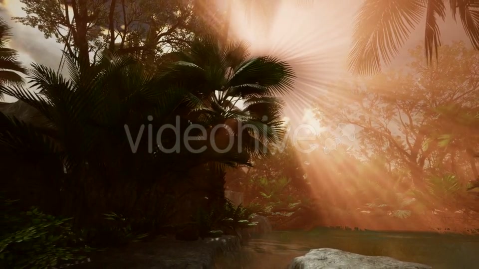 Sunset Beams Through Palm Trees - Download Videohive 21041369