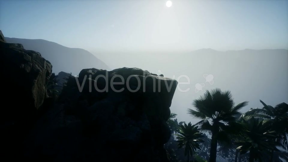 Sunset Beams Through Palm Trees - Download Videohive 21041415