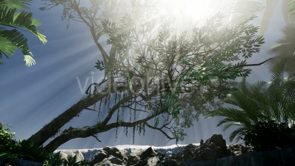 Sunset Beams Through Palm Trees - Download Videohive 21082355