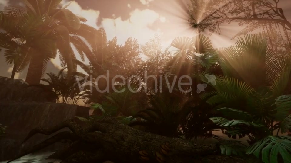Sunset Beams Through Palm Trees - Download Videohive 21082477