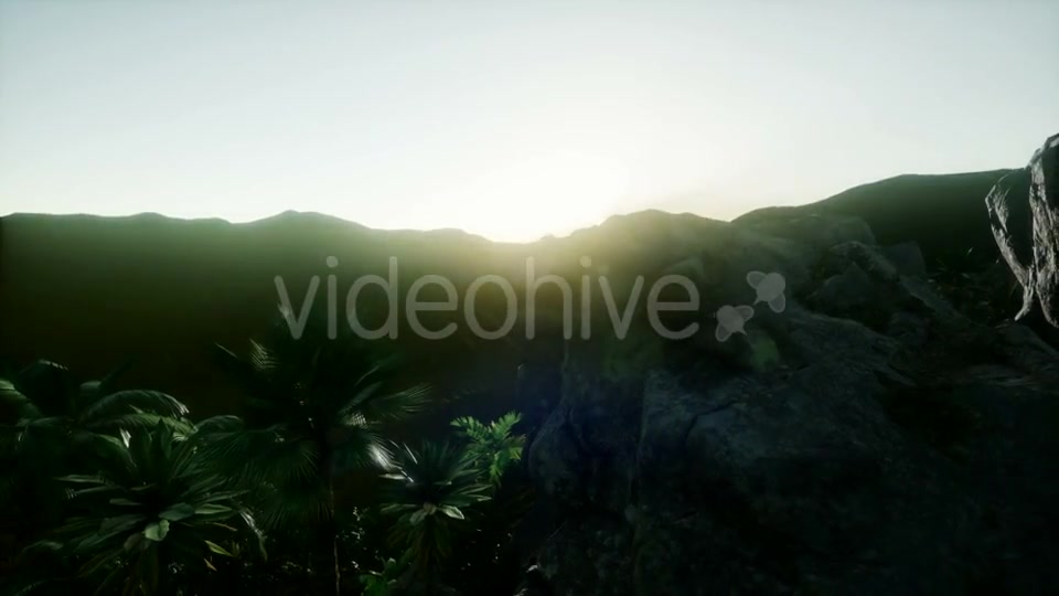 Sunset Beams Through Palm Trees - Download Videohive 21082547