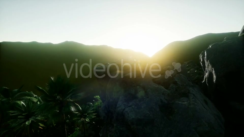 Sunset Beams Through Palm Trees - Download Videohive 21082547