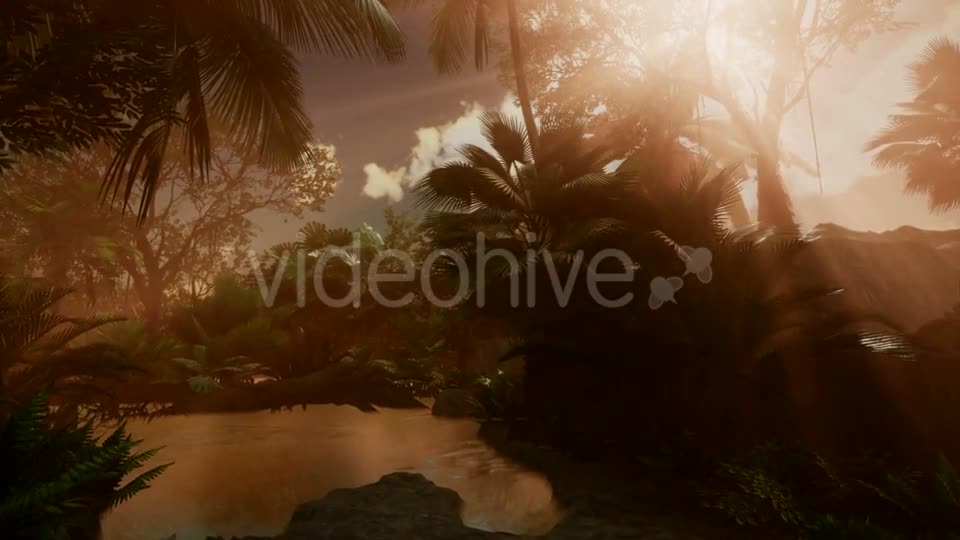 Sunset Beams Through Palm Trees - Download Videohive 21093917