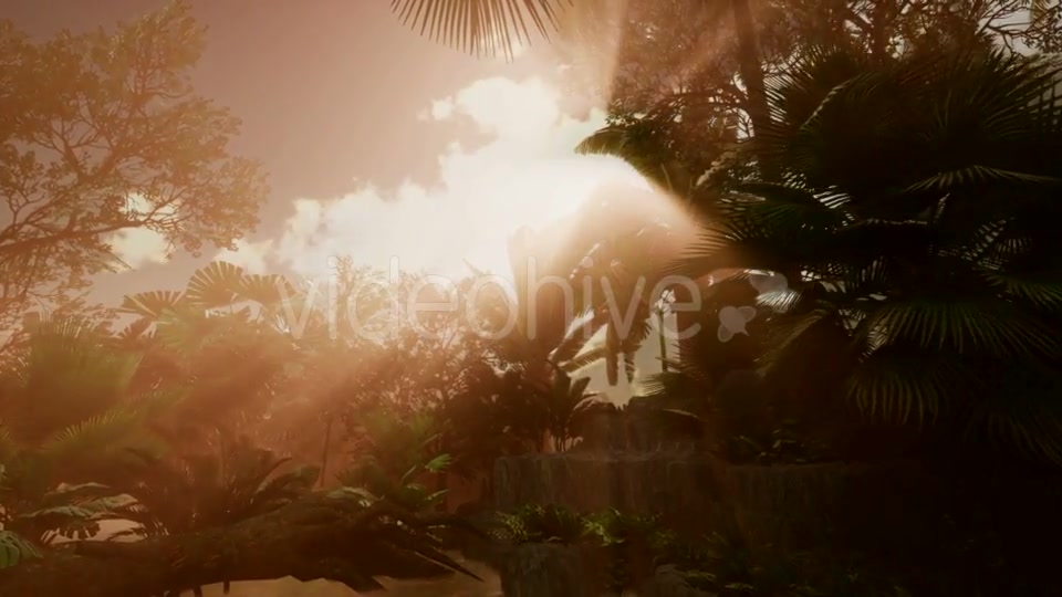 Sunset Beams Through Palm Trees - Download Videohive 21093917