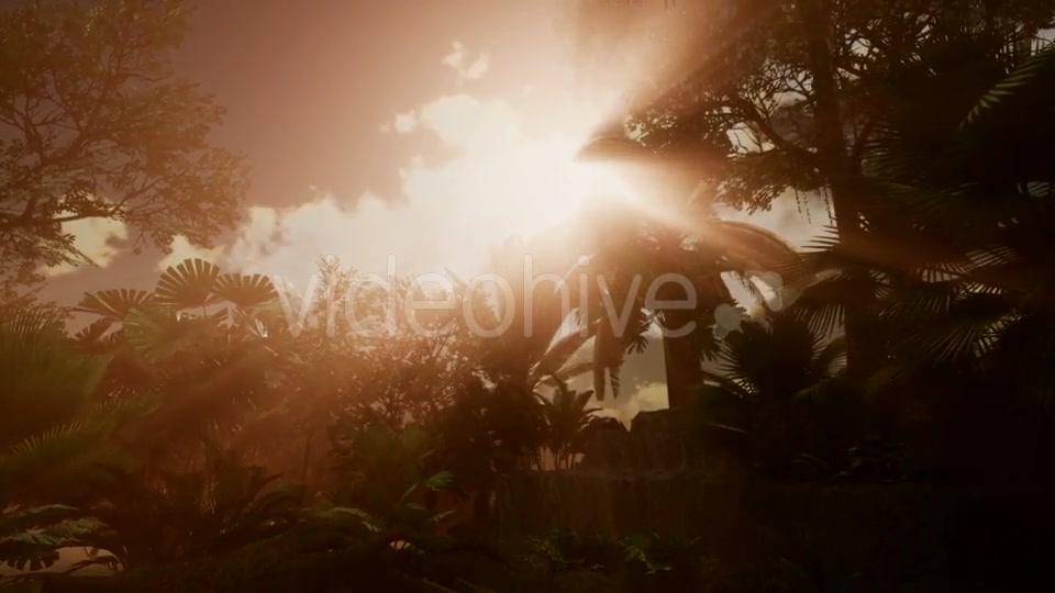 Sunset Beams Through Palm Trees - Download Videohive 21093917
