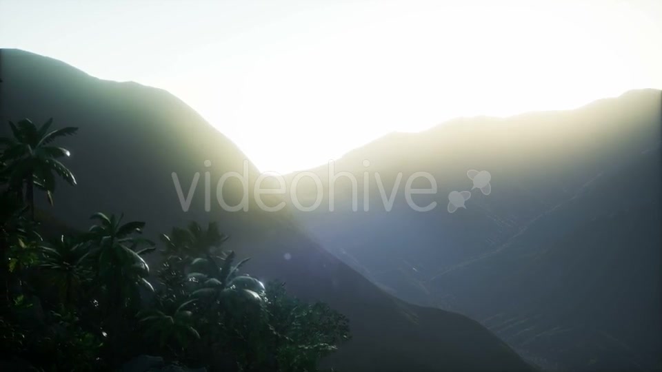 Sunset Beams Through Palm Trees - Download Videohive 21118206