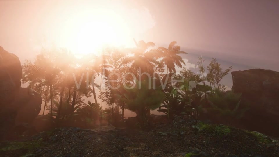 Sunset Beams Through Palm Trees - Download Videohive 21118407