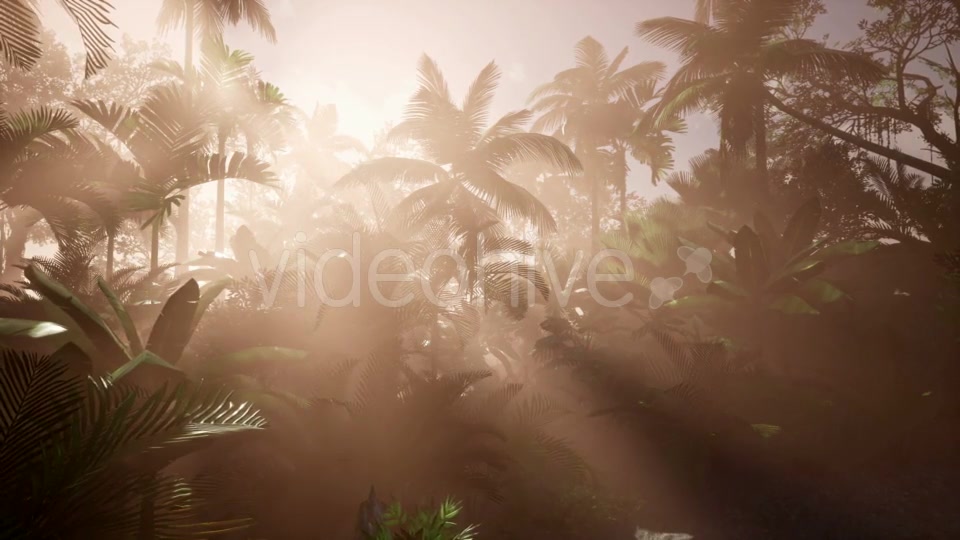 Sunset Beams Through Palm Trees - Download Videohive 21166690