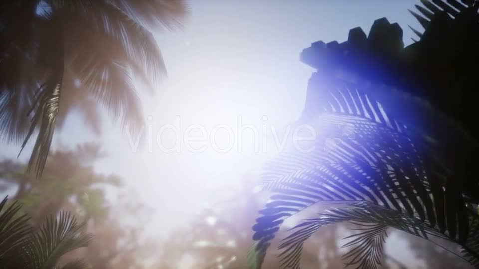 Sunset Beams Through Palm Trees - Download Videohive 21166692