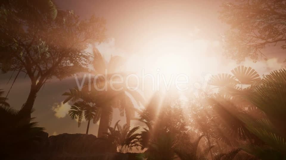 Sunset Beams Through Palm Trees - Download Videohive 21225398