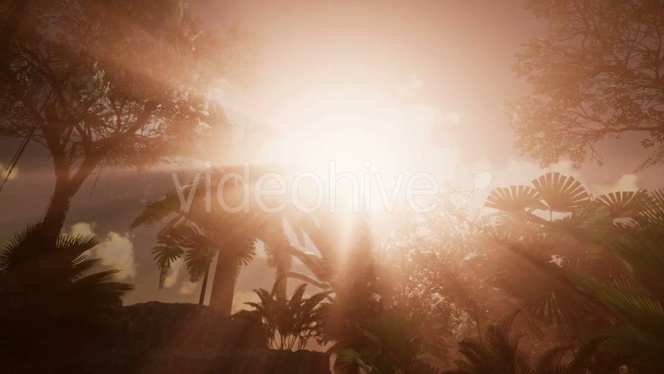 Sunset Beams Through Palm Trees - Download Videohive 21225398