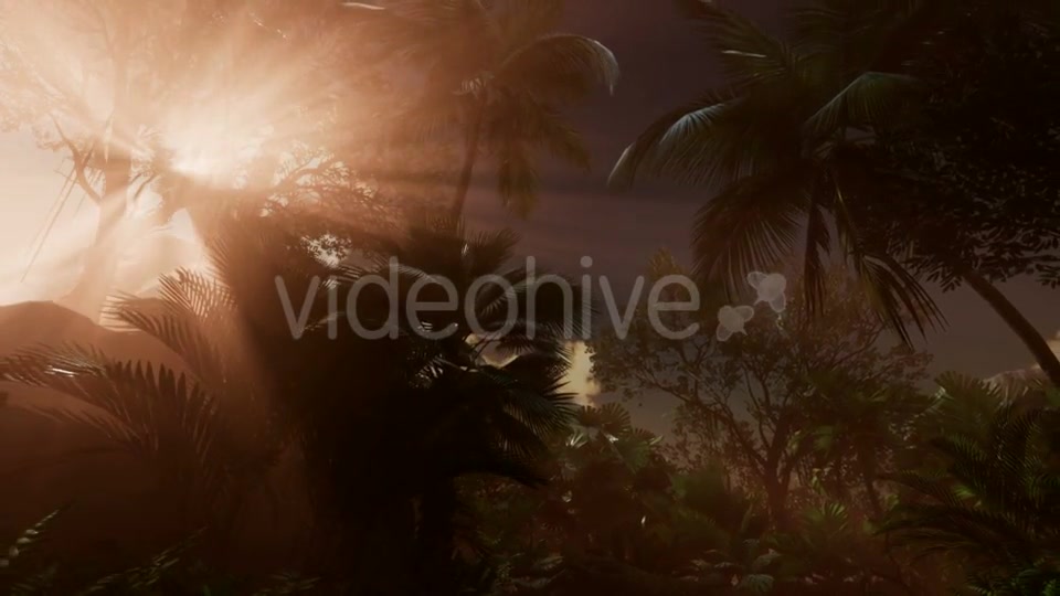 Sunset Beams Through Palm Trees - Download Videohive 21225398