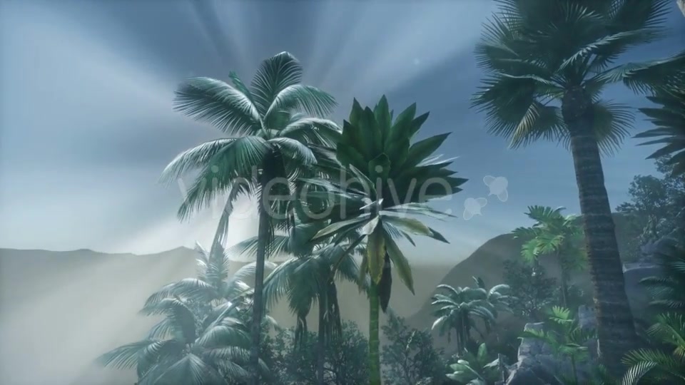 Sunset Beams Through Palm Trees - Download Videohive 21225454