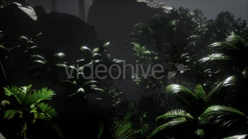 Sunset Beams Through Palm Trees - Download Videohive 21264480