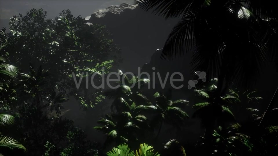 Sunset Beams Through Palm Trees - Download Videohive 21313557