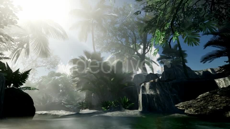 Sunset Beams Through Palm Trees - Download Videohive 21313962