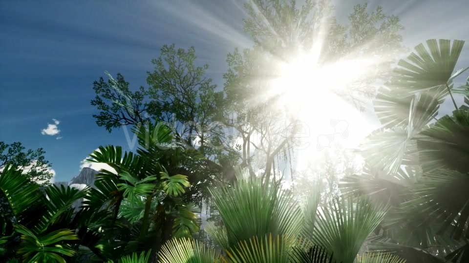 Sunset Beams Through Palm Trees - Download Videohive 21313962