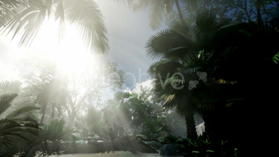 Sunset Beams Through Palm Trees - Download Videohive 21313962