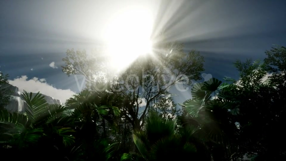 Sunset Beams Through Palm Trees - Download Videohive 21313962