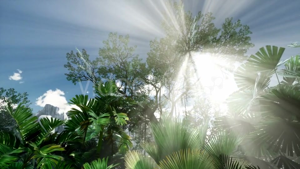 Sunset Beams Through Palm Trees - Download Videohive 21313962