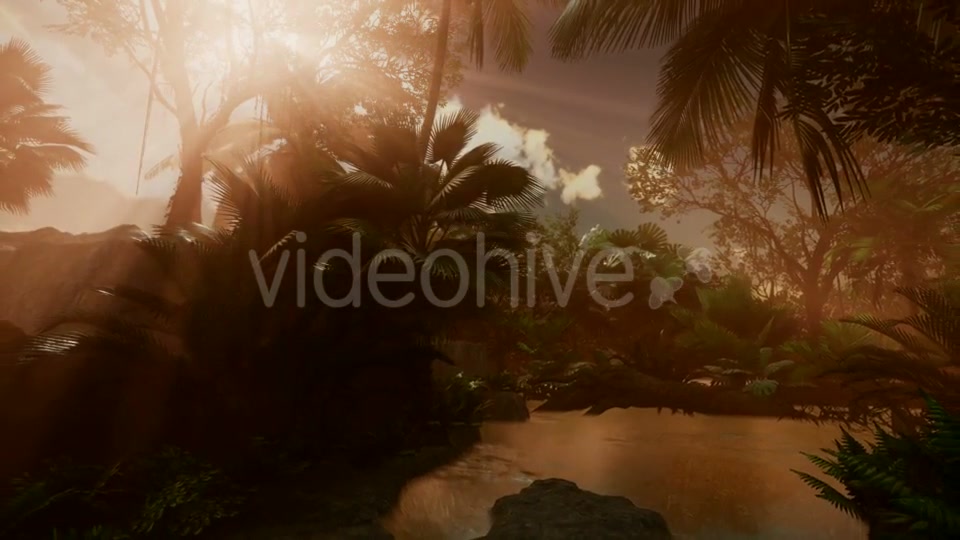 Sunset Beams Through Palm Trees - Download Videohive 21388865