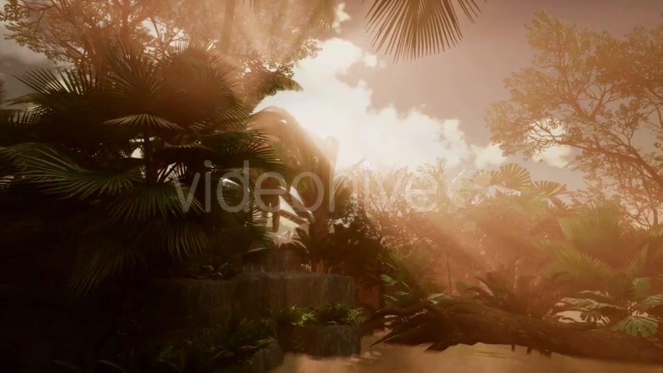 Sunset Beams Through Palm Trees - Download Videohive 21388865