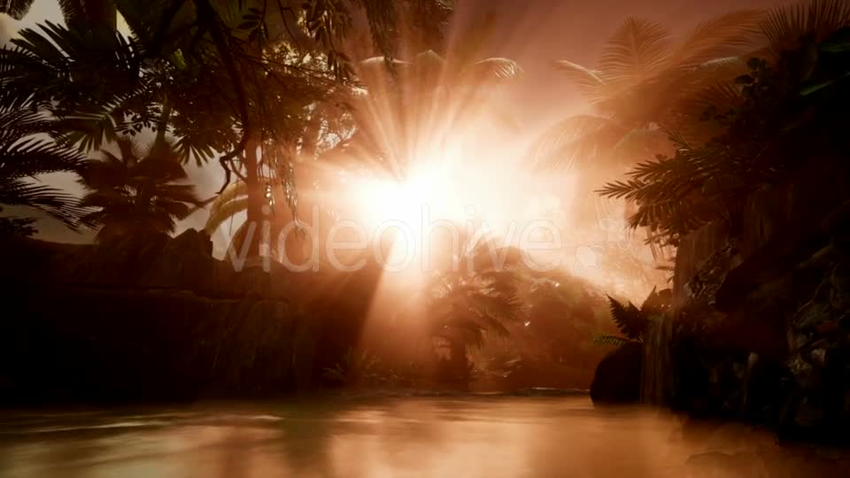 Sunset Beams Through Palm Trees - Download Videohive 21407982