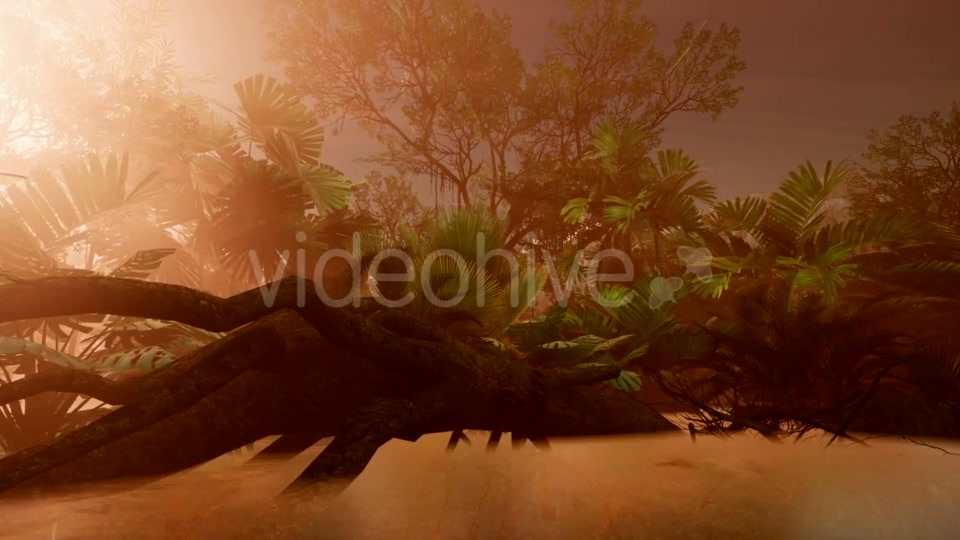 Sunset Beams Through Palm Trees - Download Videohive 21407982