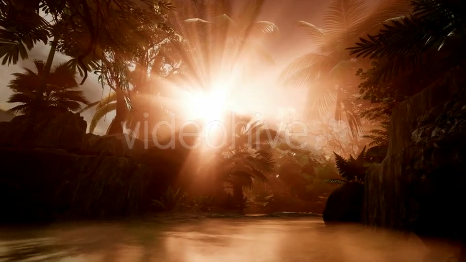 Sunset Beams Through Palm Trees - Download Videohive 21407982