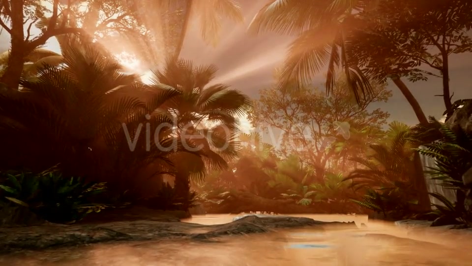 Sunset Beams Through Palm Trees - Download Videohive 21407982