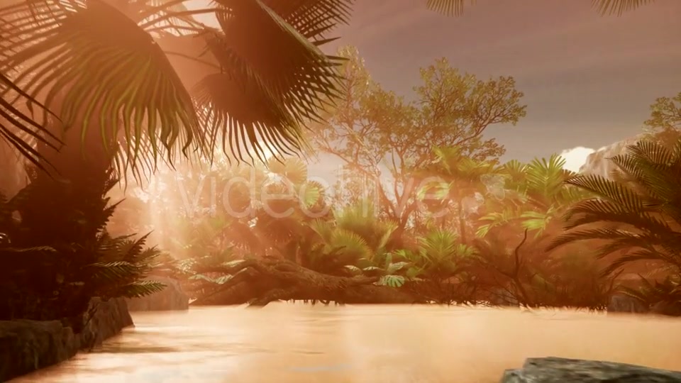 Sunset Beams Through Palm Trees - Download Videohive 21407982