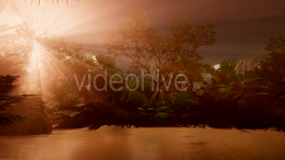 Sunset Beams Through Palm Trees - Download Videohive 21407982