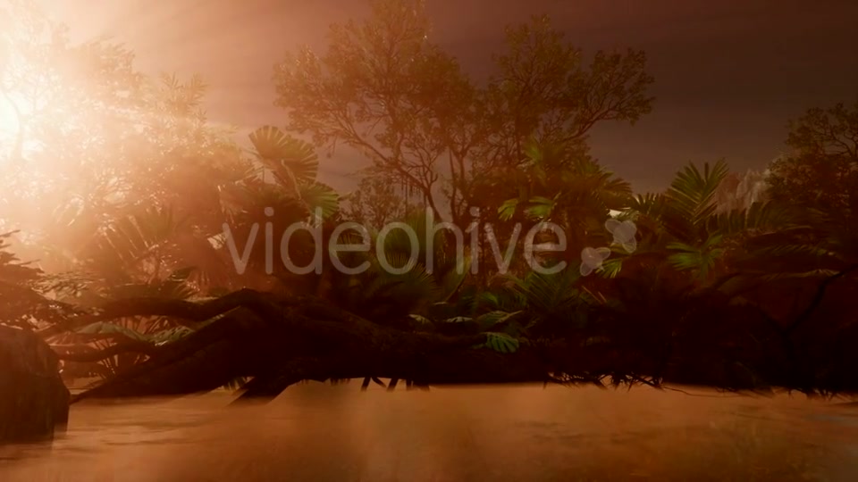 Sunset Beams Through Palm Trees - Download Videohive 21407982