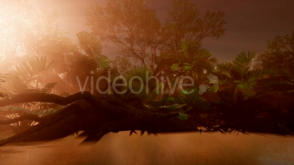 Sunset Beams Through Palm Trees - Download Videohive 21407982