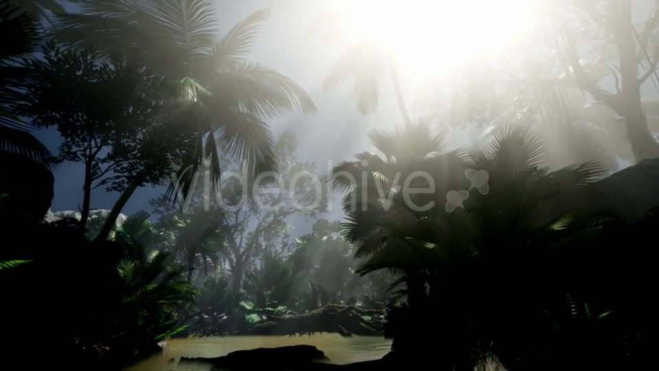 Sunset Beams Through Palm Trees - Download Videohive 21408040