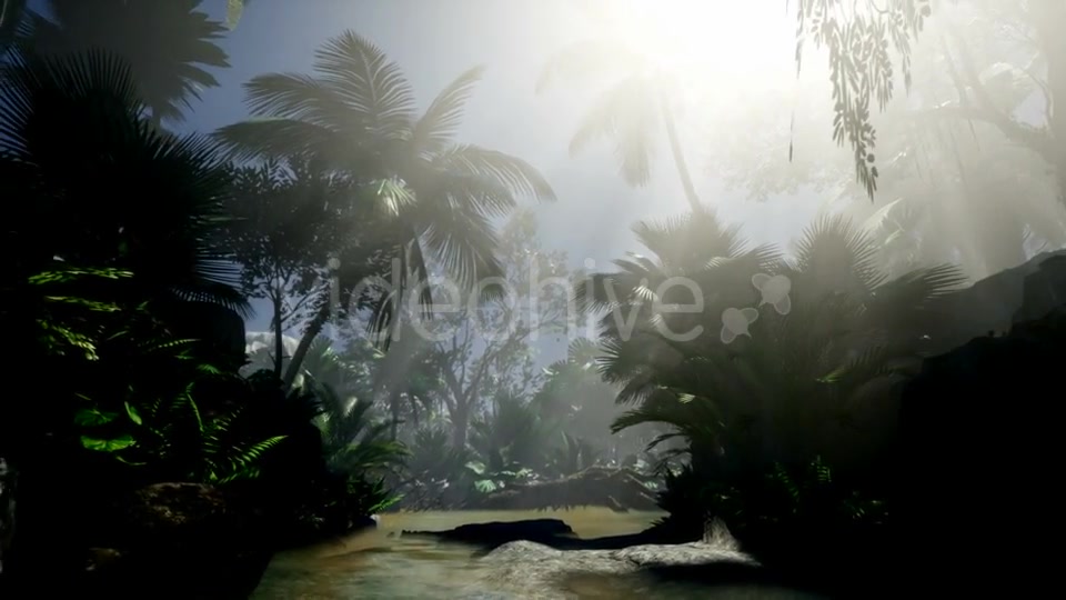 Sunset Beams Through Palm Trees - Download Videohive 21408040