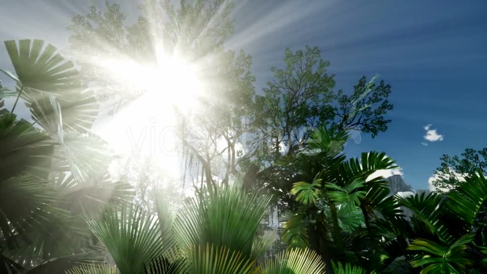 Sunset Beams Through Palm Trees - Download Videohive 21408503