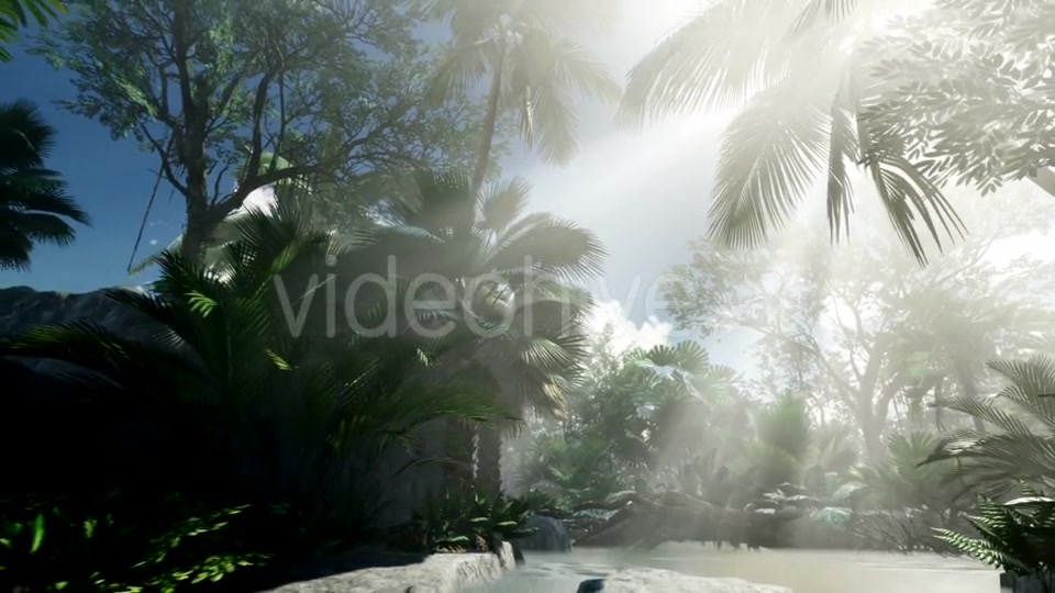 Sunset Beams Through Palm Trees - Download Videohive 21408503