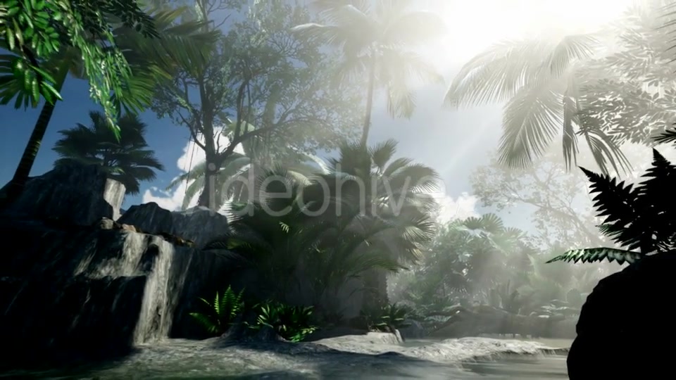 Sunset Beams Through Palm Trees - Download Videohive 21408503