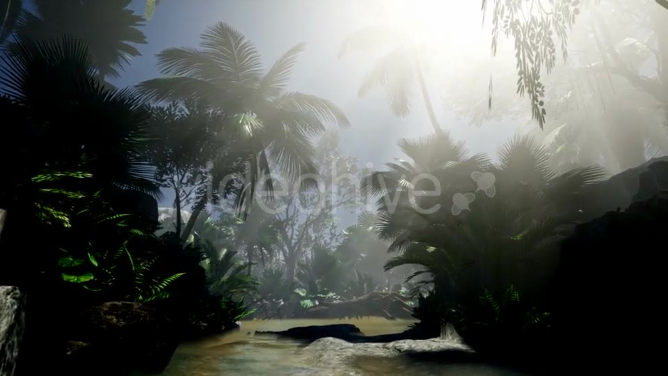 Sunset Beams Through Palm Trees - Download Videohive 21441150