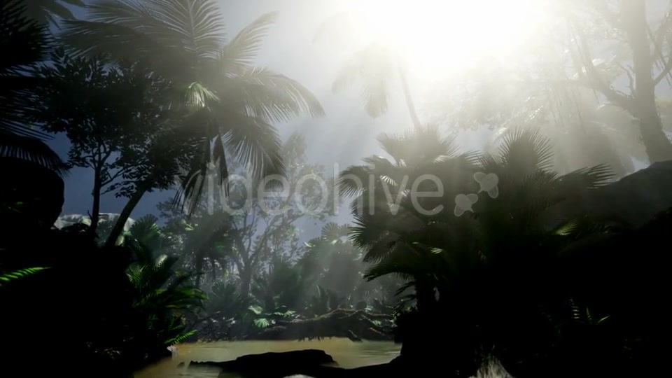 Sunset Beams Through Palm Trees - Download Videohive 21441150