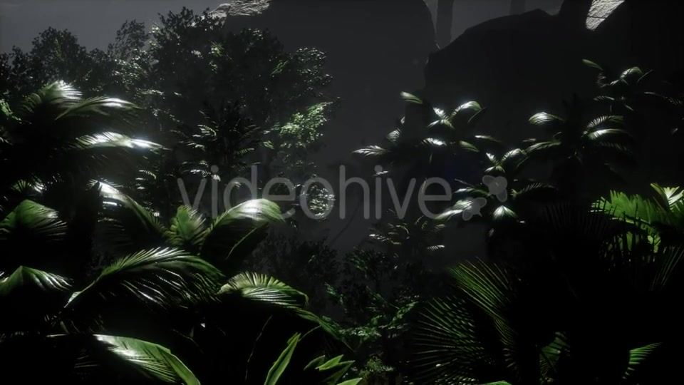 Sunset Beams Through Palm Trees - Download Videohive 21532044