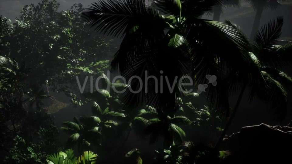 Sunset Beams Through Palm Trees - Download Videohive 21532044