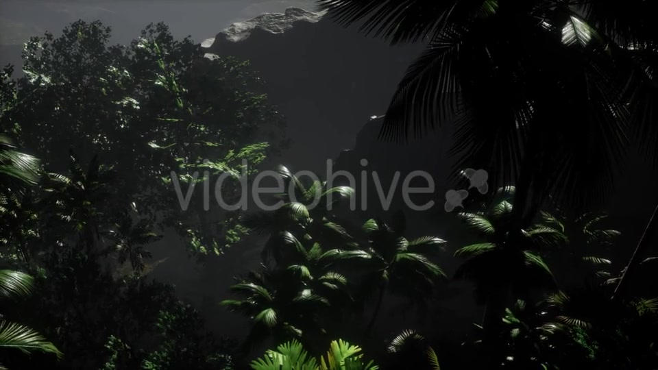 Sunset Beams Through Palm Trees - Download Videohive 21532044